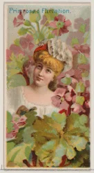 Primula: Flirtazione, dalla serie Bellezze floreali e linguaggio dei fiori N75 per Du..., 1892