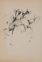 Uccelli