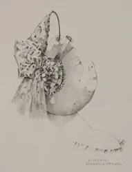 Primo premio alla mostra di frutta e verdura