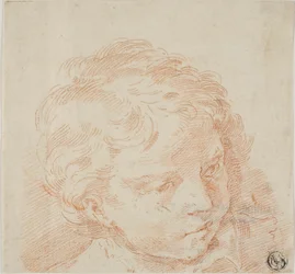 Testa di bambino