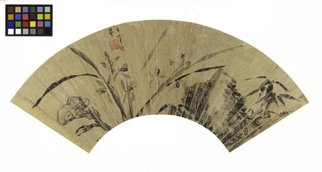 Orchidee, fungo e roccia, XVII secolo