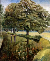 Il fiume Pang sopra Tidmarsh