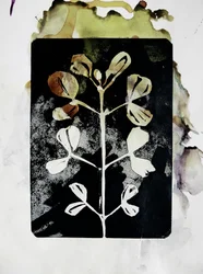Forma botanica terrosa