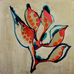 Corallo vivace botanico