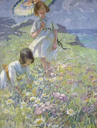 La cima della scogliera (olio su tela)