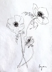 Delicato schizzo di un fiore