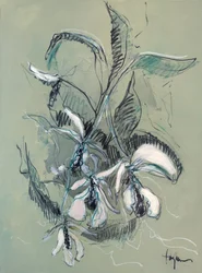 Elegante schizzo di orchidea