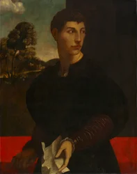 Ritratto di un giovane uomo, c. 1530