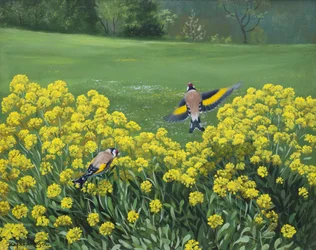 Cardellini, 2000 (olio su tavola)