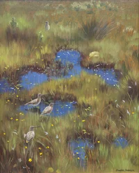 Beccaccino in palude