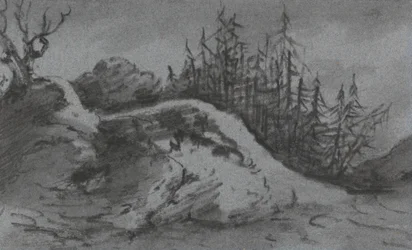 Composizione di rocce e pini