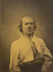 Volto in riposo