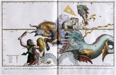 Mappa celeste delle costellazioni: Orione, Toro, Ariete e Pesci, 1666-1668