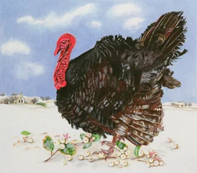 Tacchino nero con bacche di neve, 1996
