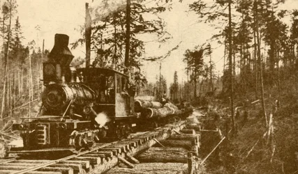 Una ferrovia per il trasporto del legname, Columbia Britannica