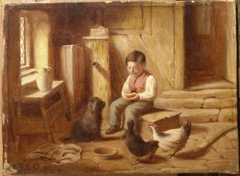 Dare da mangiare ai polli