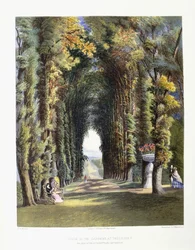 Vista nei giardini di Teddesley, sede dell