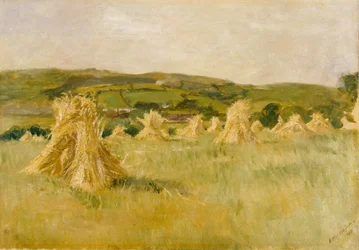 Un campo di grano del Carmarthenshire (olio su tela)