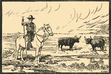Paysage De Camargue - Vista della Camargue