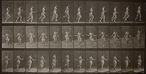 Locomozione Animale, Tavola 174, 1887