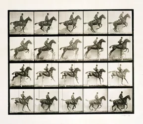 Uomo e cavallo che saltano una recinzione, 1887