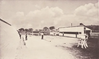 Il cavallo in movimento come mostrato dalla fotografia istantanea. Con uno studio sugli animali..., 1881-1882