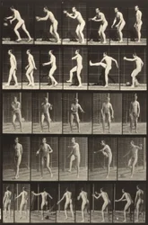 Locomozione animale (piatto 300) (Uomo che calcia una palla)