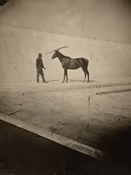 Particolare della pista della fattoria dei cavalli di Leland Stanford a Palo Alto, 1878-1879 (foto)
