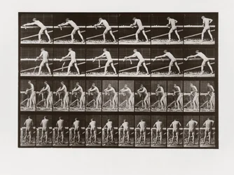 Uomo che pialla il legno, Tavola 379 da Animal Locomotion