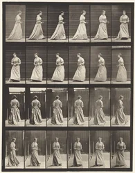 Tavola 100. Girare e salire le scale, 1885