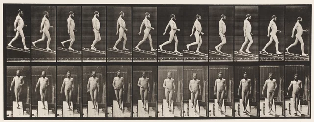 Tavola 113. Scendere una pendenza, 1 su 4