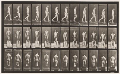 Tavola 114. Scendere la pendenza, angolo 1 su 4, 1872-1885