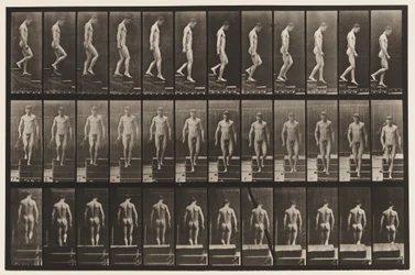 Tavola 125. Discesa delle scale