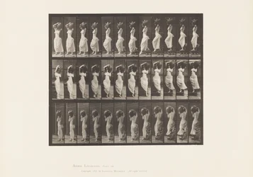 Tavola 146. Discesa inclinata, girando il vaso d