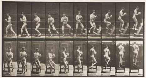 Tavola 151. Scendere la scala, girarsi, roccia in mano, 1872-1885