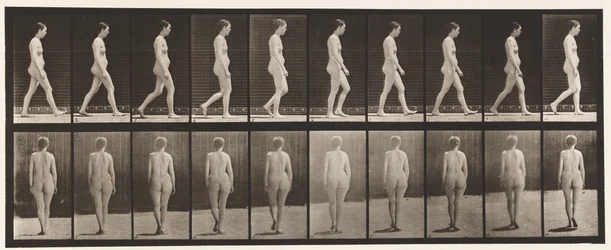 Tavola 15. Camminare