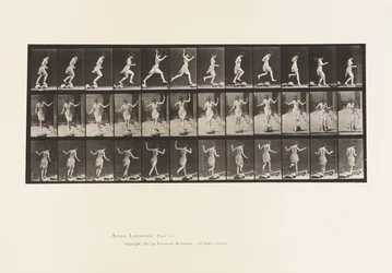 Tavola 170. Da pietra a pietra attraverso un ruscello, 1885
