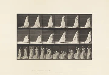 Tavola 209. Chinarsi e sollevare un fazzoletto, 1885