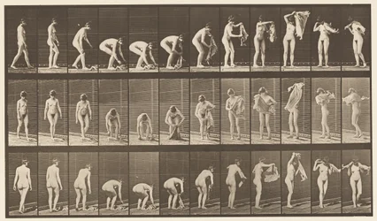 Tavola 227. Sollevare un panno da terra, 1872-1885