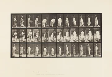 Piastra 229. Posizionando il cestino a terra e girandosi