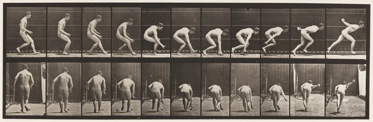 Tavola 287. Baseball; correre e raccogliere la palla