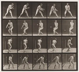 Tavola 288. Baseball; Errore