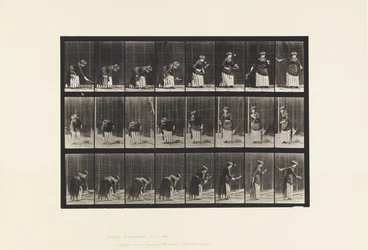 Tavola 295. Tennis su prato; Servizio