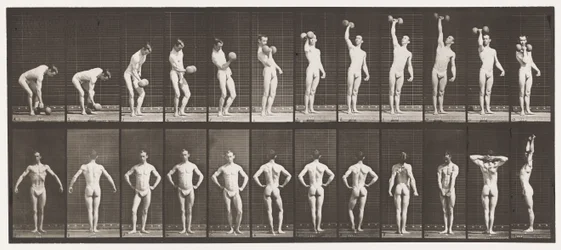 Sollevare un manubrio da 50 libbre; posare (tavola 321)