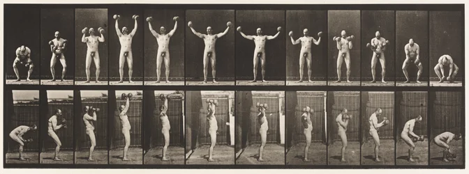 Tavola 325. Sollevamento e tenuta di due manubri da 50 libbre, 1885