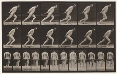 Tavola 392. Trascinare un rullo da giardino