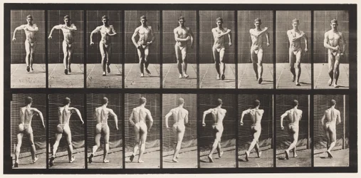 Piastra 3. Camminare