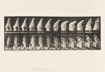 Tavola 437. Posare il secchio e prepararsi a spazzare