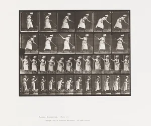 Rastrellare il fieno