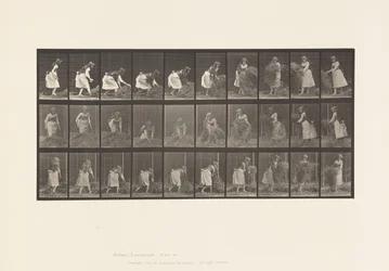 Tavola 458. Sollevare manciate di fieno, girare, gettarlo giù